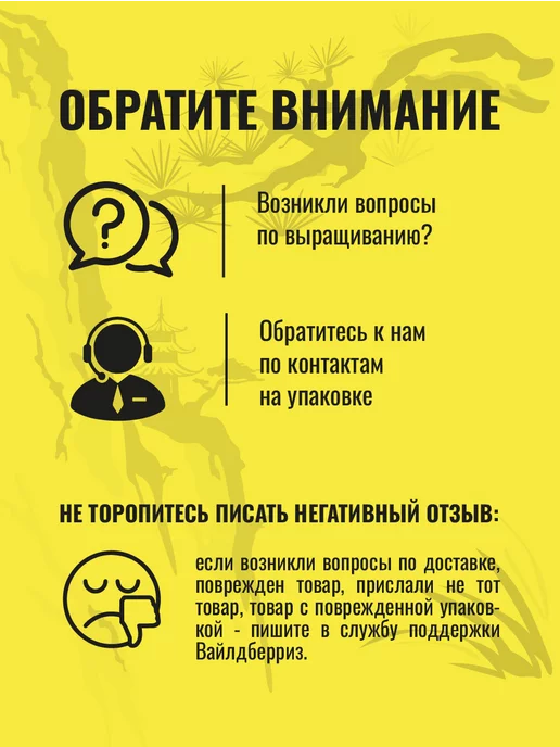 ЭкоКлуб Набор для выращивания растений бонсай Лимон, вариант, фото 6