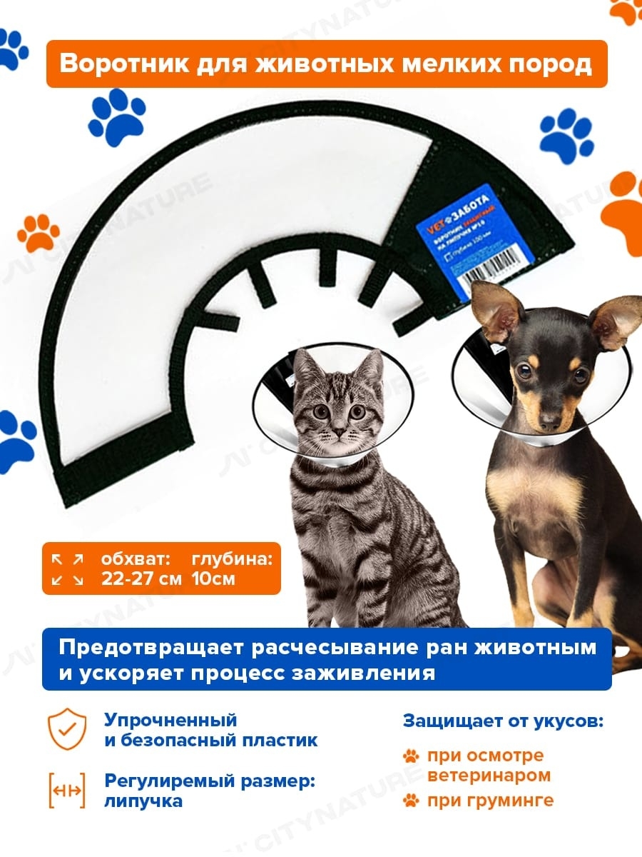 🐾 Как сделать ветеринарный воротник для кошек своими руками | Я — Кот! | Дзен