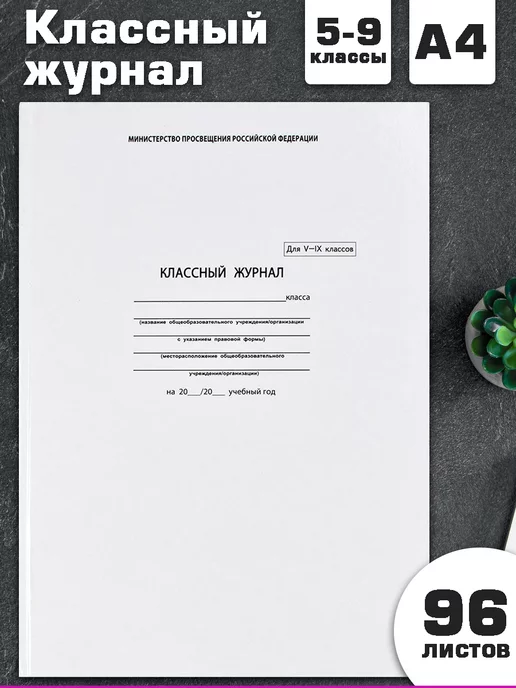 Феникс+ Классный журнал 5-9 класс А4 96 л для учителя, 96 л