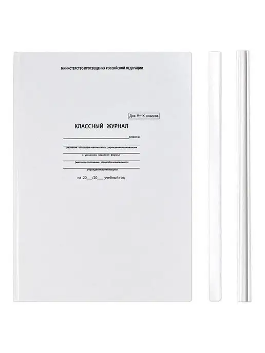 Феникс+ Классный журнал 5-9 класс А4 96 л для учителя, 96 л, фото 4