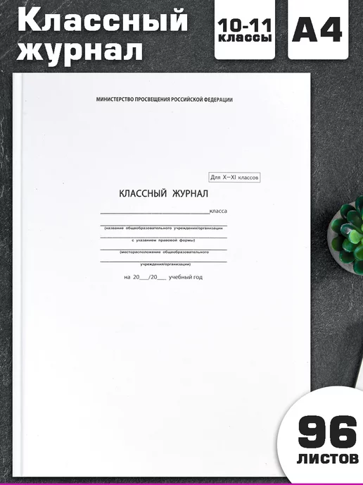 Феникс+ Классный журнал 5-9 класс А4 96 л для учителя, 96 л