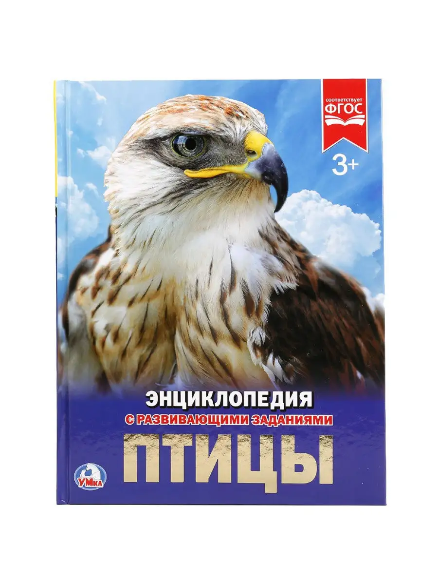 Энциклопедия для детей с развивающими заданиями Птицы Умка 12913527 купить  за 269 ₽ в интернет-магазине Wildberries