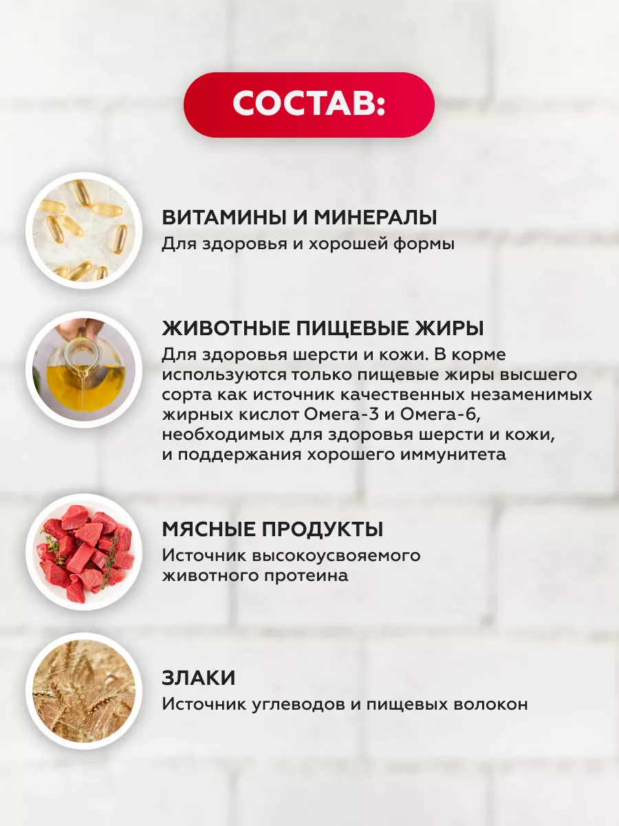 Сухой корм для кошек профилактика мочекаменной болезни 10 кг Ночной охотник  12918935 купить за 4 046 ₽ в интернет-магазине Wildberries