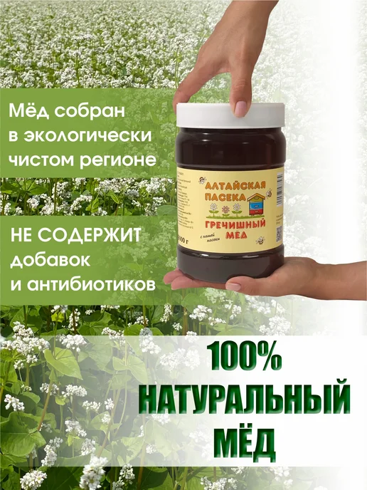 Алтайские Пасеки Мед натуральный Гречишный 1.5 кг сбор 2026 г, 1,5 кг, 2026 г, фото 3