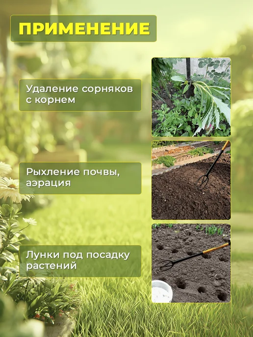 Торнадика Корнеудалитель садовый, вариант, фото 2
