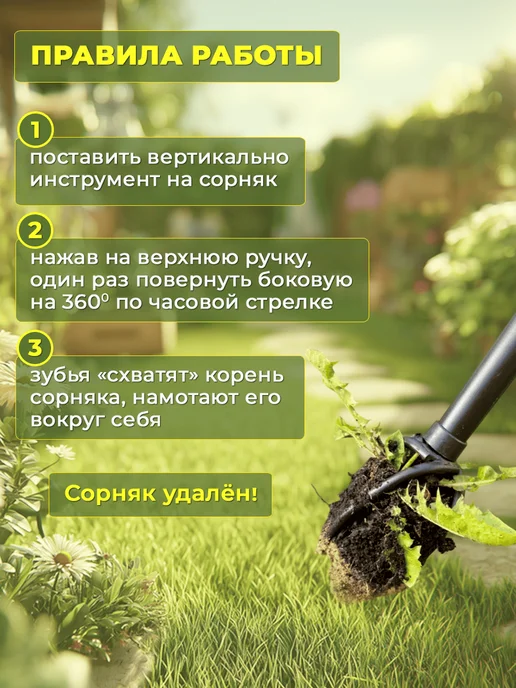 Торнадика Корнеудалитель садовый, вариант, фото 7