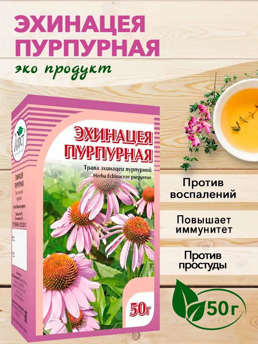 Эхинацея пурпурная, травяной сбор, 50 гр. ХОРСТ 12982960 купить за 194 ₽ в  интернет-магазине Wildberries