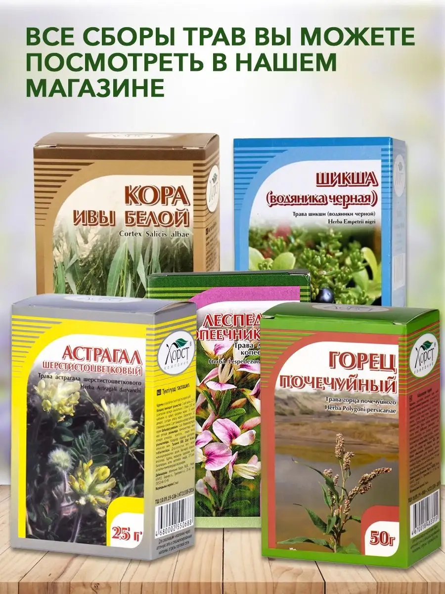 Медуница лекарственная, 50 г. ХОРСТ 12982971 купить в интернет-магазине  Wildberries