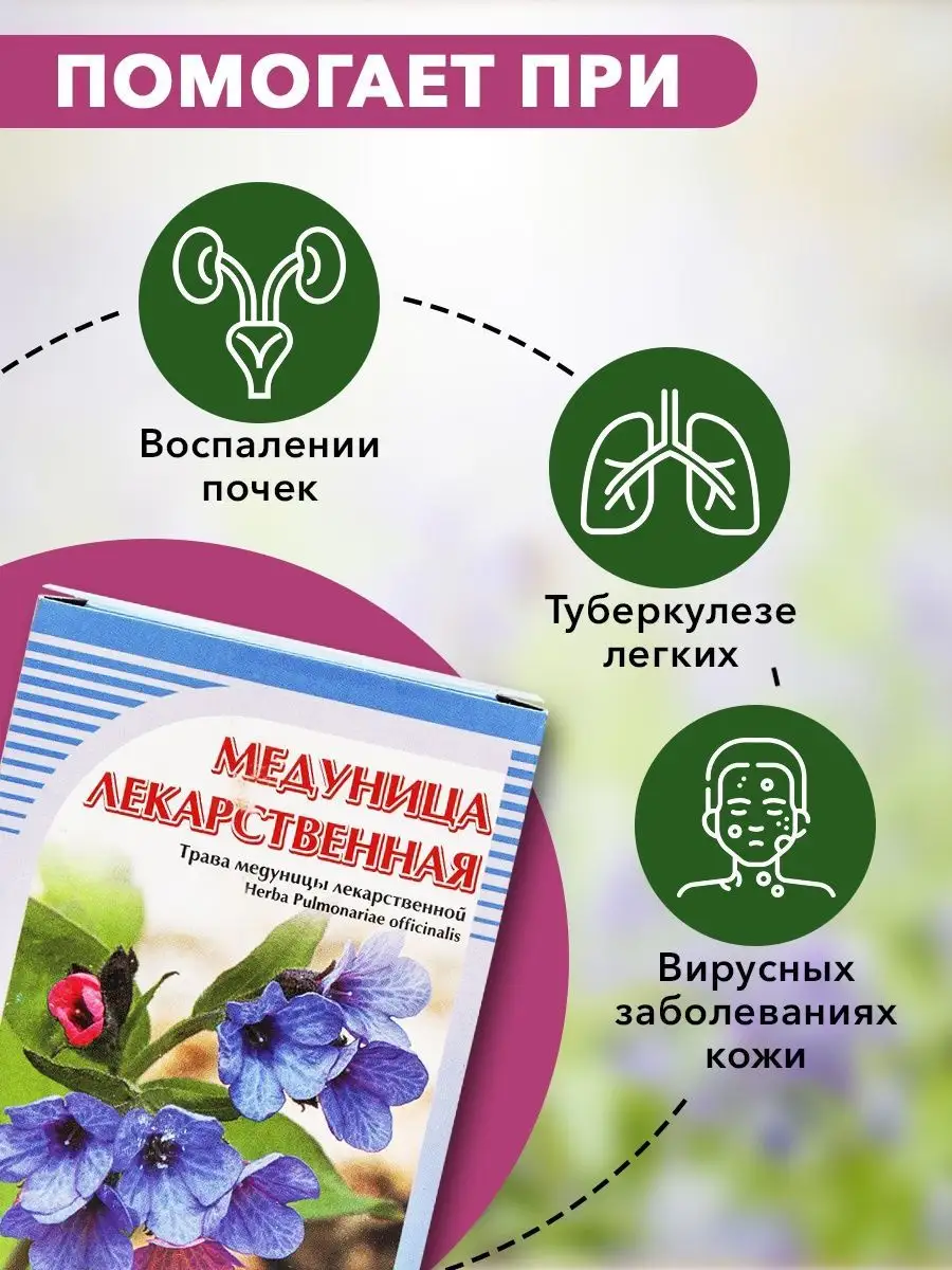 Медуница лекарственная, 50 г. ХОРСТ 12982971 купить в интернет-магазине  Wildberries