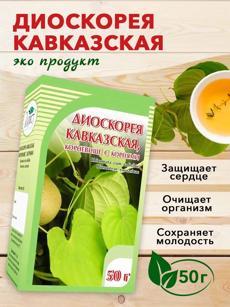 Диоскорея кавказская, корень, корневища ХОРСТ 12982990 купить в  интернет-магазине Wildberries