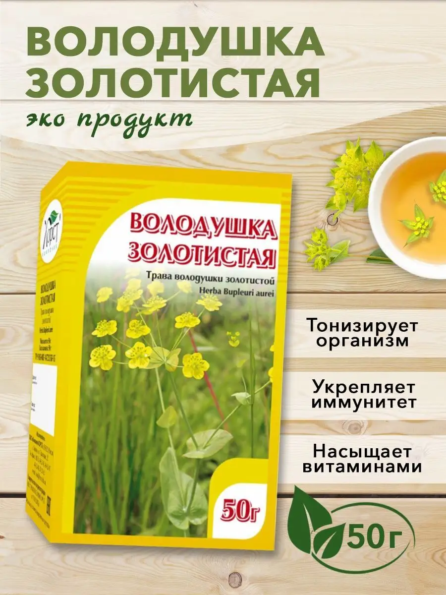 Володушка золотистая, трава, 50 г ХОРСТ 12983025 купить в интернет-магазине  Wildberries