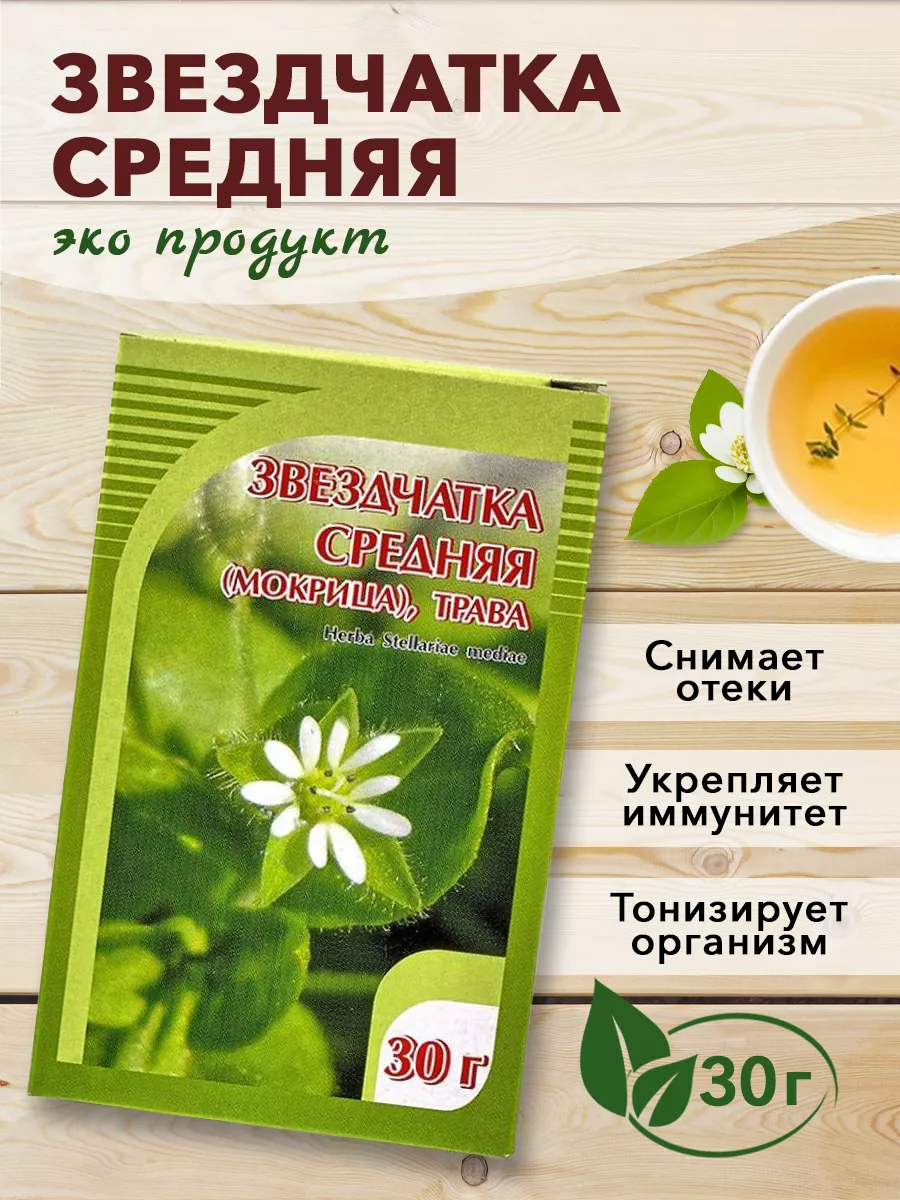 Звездчатка средняя, мокрица, для почек, печени ХОРСТ 12983041 купить в  интернет-магазине Wildberries