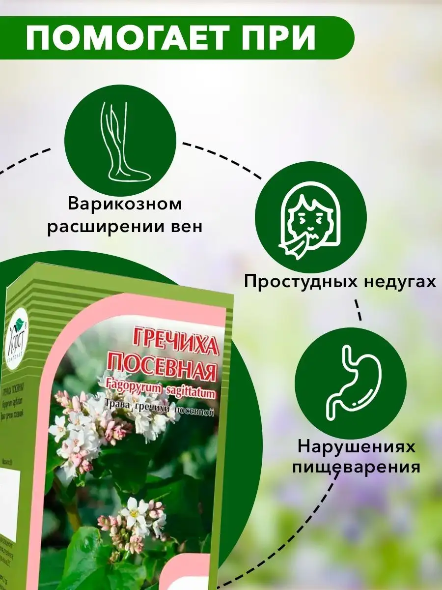 Гречиха посевная, трава 50г ХОРСТ 12983049 купить в интернет-магазине  Wildberries