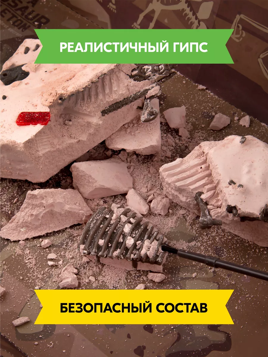 Игра для детей Раскопки динозавра 4M 1391106 купить за 495 ₽ в  интернет-магазине Wildberries