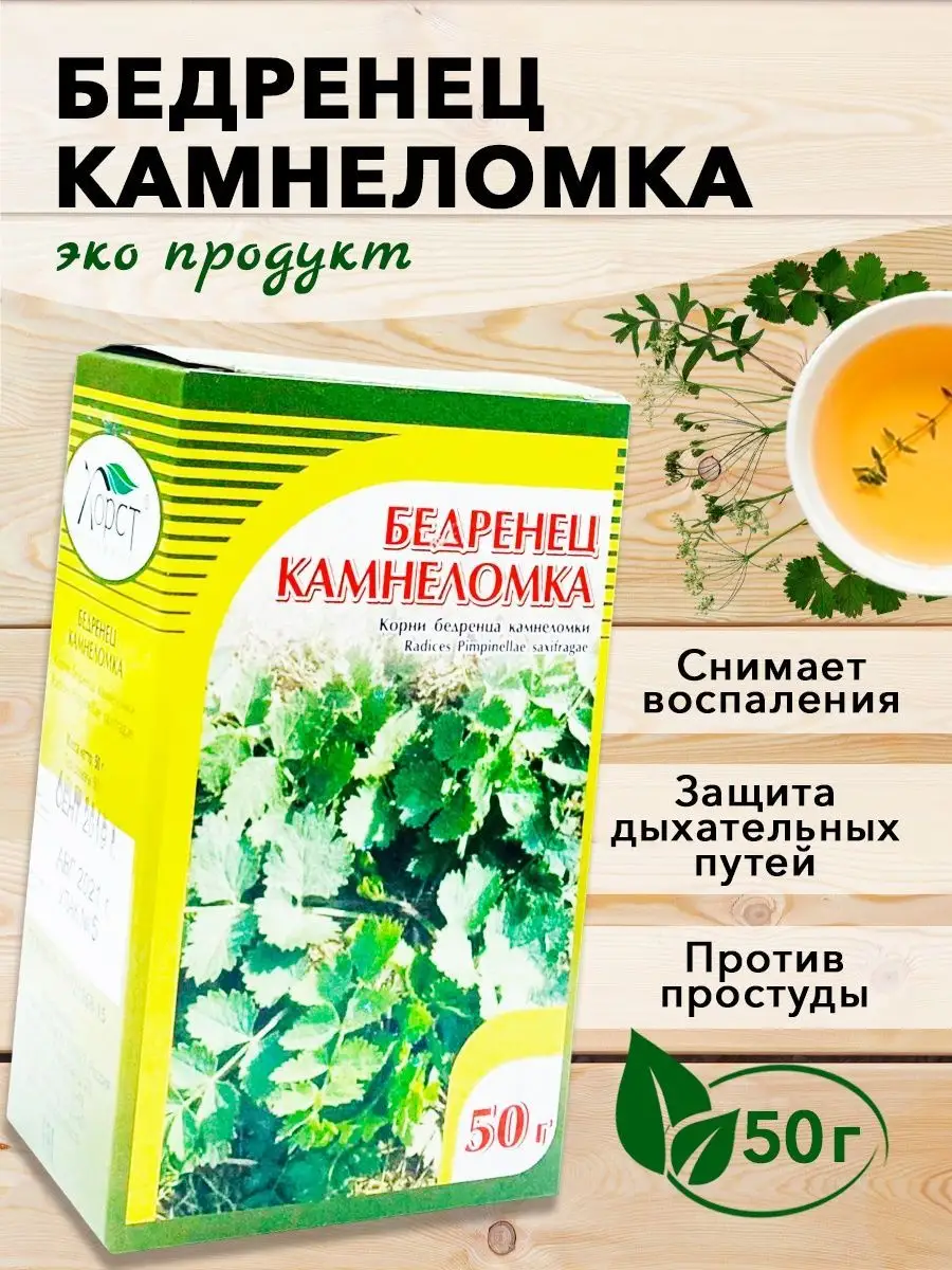 Бедренец камнеломка