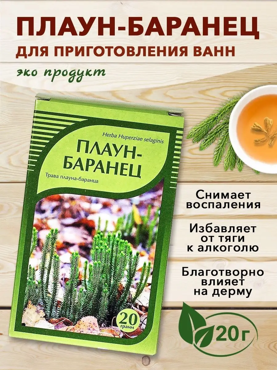 Плаун-баранец, трава от алкоголизма, 20 гр. ХОРСТ 13020636 купить в  интернет-магазине Wildberries