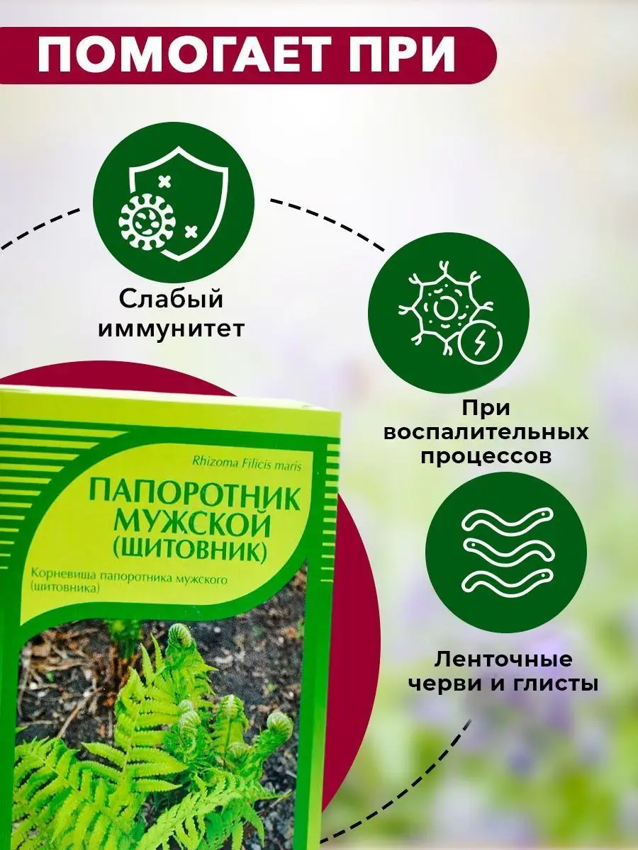 Папоротник корень от глистов ХОРСТ 13020644 купить в интернет-магазине  Wildberries