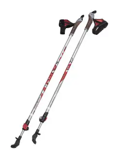 Палки для скандинавской ходьбы WALKER STC 13072899 купить за 985 ₽ в интернет-магазине Wildberries