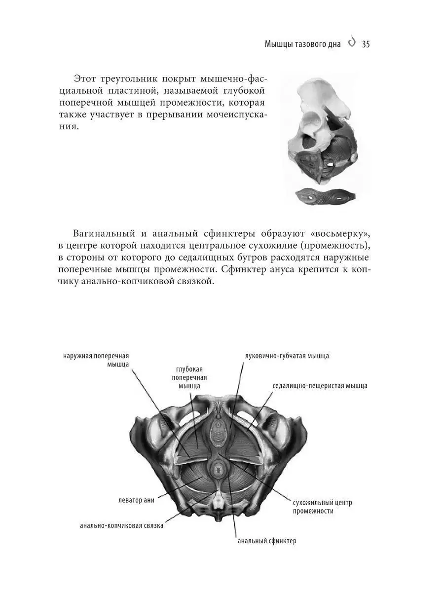 Как стимулировать простату и заниматься анальным сексом мужчине | GQ Россия