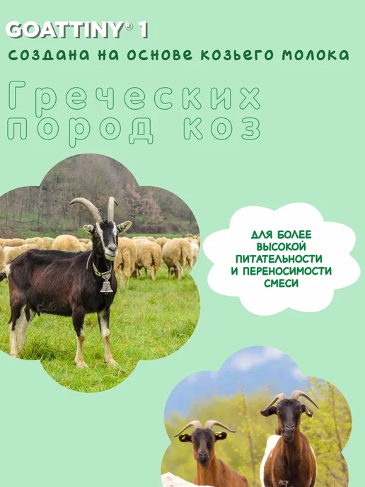 GOATTINY Смесь детская на козьем молоке (0-6 месяцев), 400 г, 400 г, фото 5