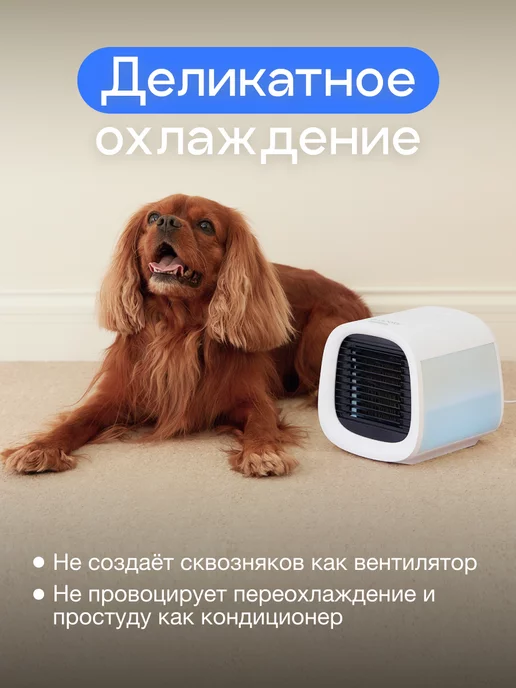 Evapolar Персональный охладитель воздуха для дома evaCHILL, белый, фото 8