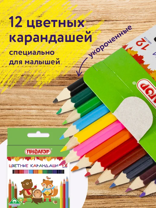 Пифагор Карандаши цветные 12цв, укороченные, голубой