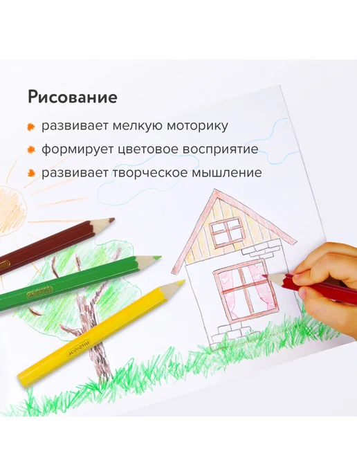 Пифагор Карандаши цветные 12цв, укороченные, голубой, фото 4