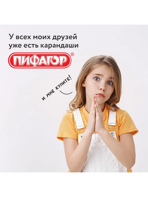 Пифагор Карандаши цветные 12цв, укороченные, голубой, фото 5