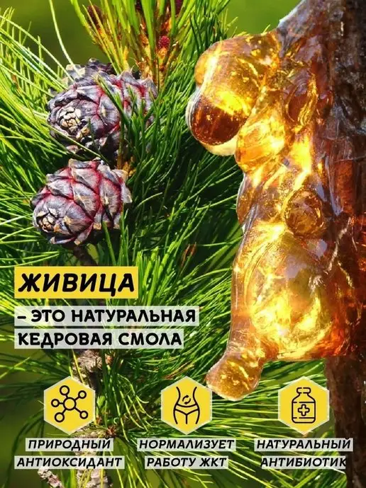 Мёд семьи Мамдеевых Мед с кедровой живицей, 1400 г, пп, сладости, 1400 г, фото 2