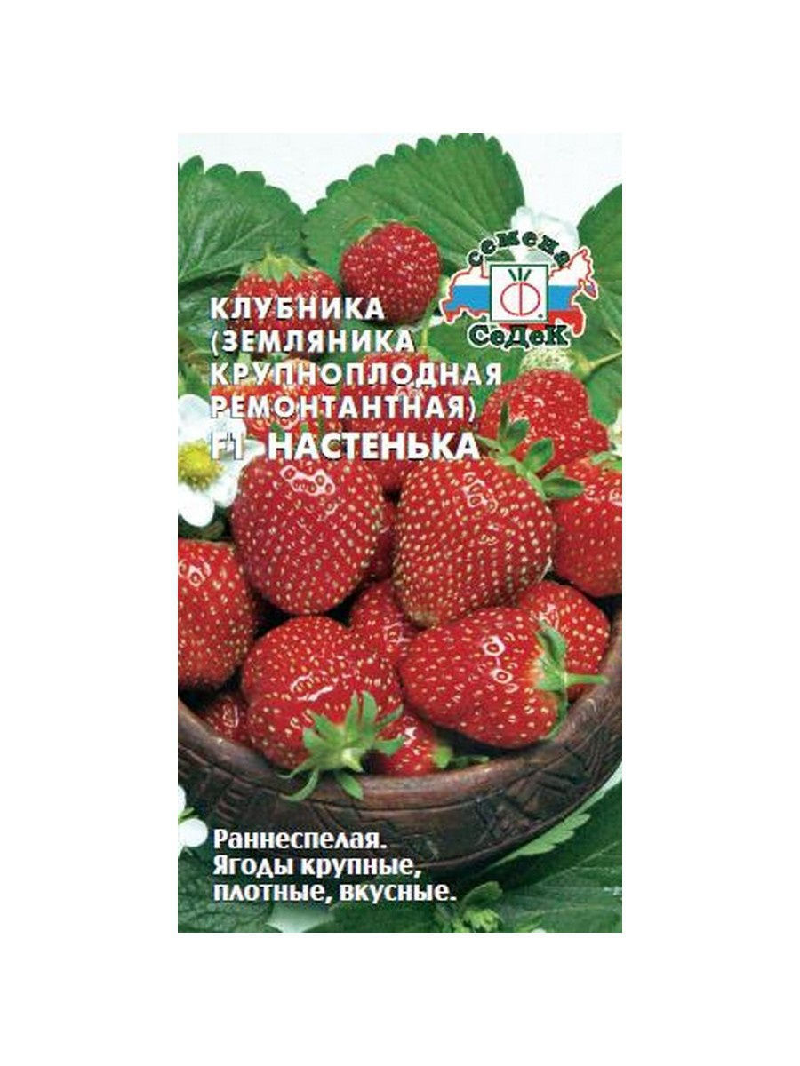 Клубника настенька. Земляника Настенька f1 15шт. Земляника фреска f1 (крупноплодная ремонтант.,клубника) СЕДЕК. Земляника Настенька ремонтантная крупноплодная f1(СЕДЕК) Ц.