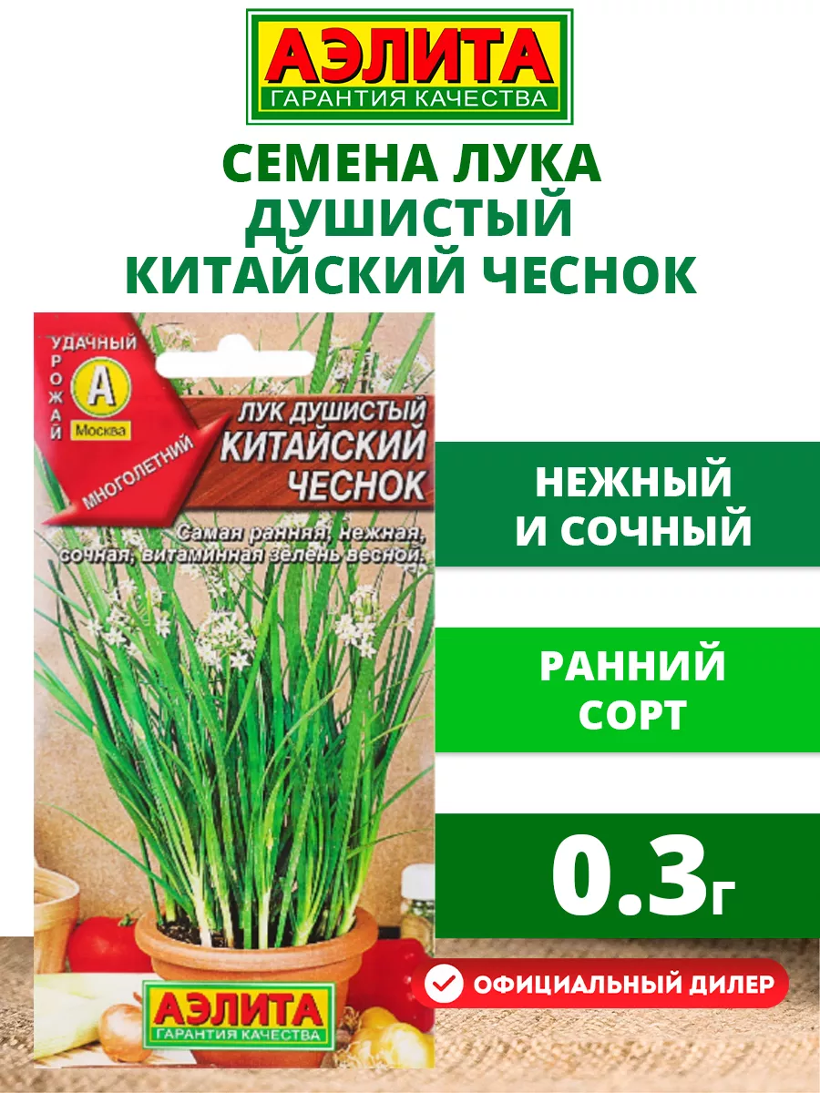 Семена Лук душистый Китайский чеснок 0,3г многолетний Аэлита 13134247  купить в интернет-магазине Wildberries