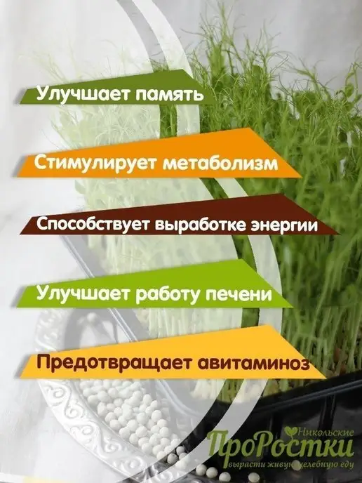 Никольские ПроРостки Горох Афилла для микрозелени и проращивания, 500 г, 500 г, фото 2