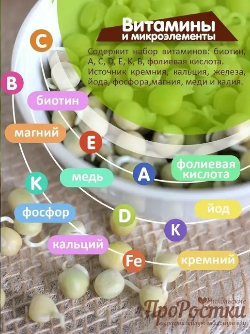 Никольские ПроРостки Горох Афилла для микрозелени и проращивания, 500 г, 500 г, фото 3