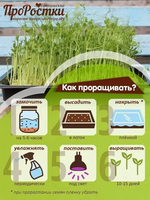 Никольские ПроРостки Горох Афилла для микрозелени и проращивания, 500 г, 500 г, фото 5
