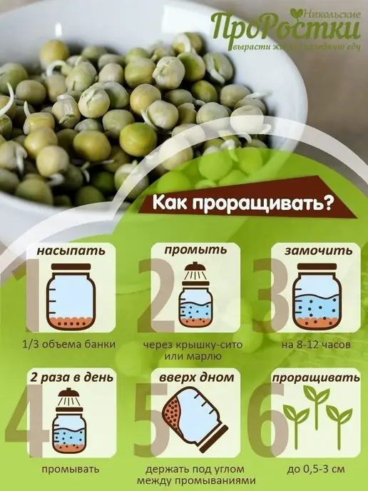Никольские ПроРостки Горох Афилла для микрозелени и проращивания, 500 г, 500 г, фото 6