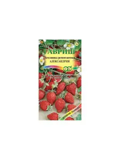 Семена Земляника Александрия 0,03 г в пакете Гавриш 13167461 купить за 64 ₽ в интернет-магазине Wildberries
