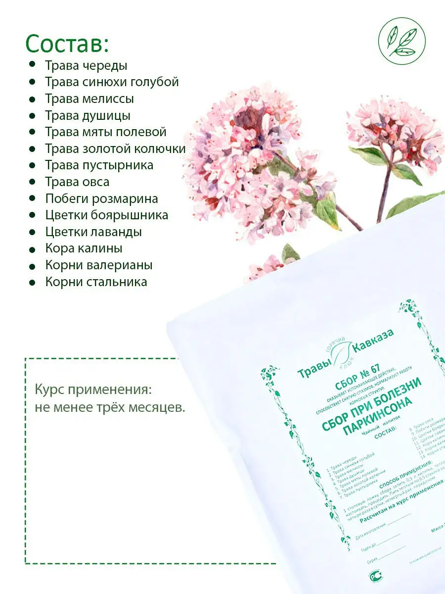 Сбор при болезни Паркинсона №67, 225г KAMCHATKA 13185091 купить в  интернет-магазине Wildberries