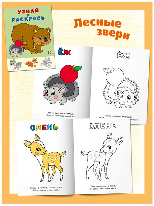 Издательство Фламинго Раскраска для малышей набор 6 шт детские, 6 шт, фото 8