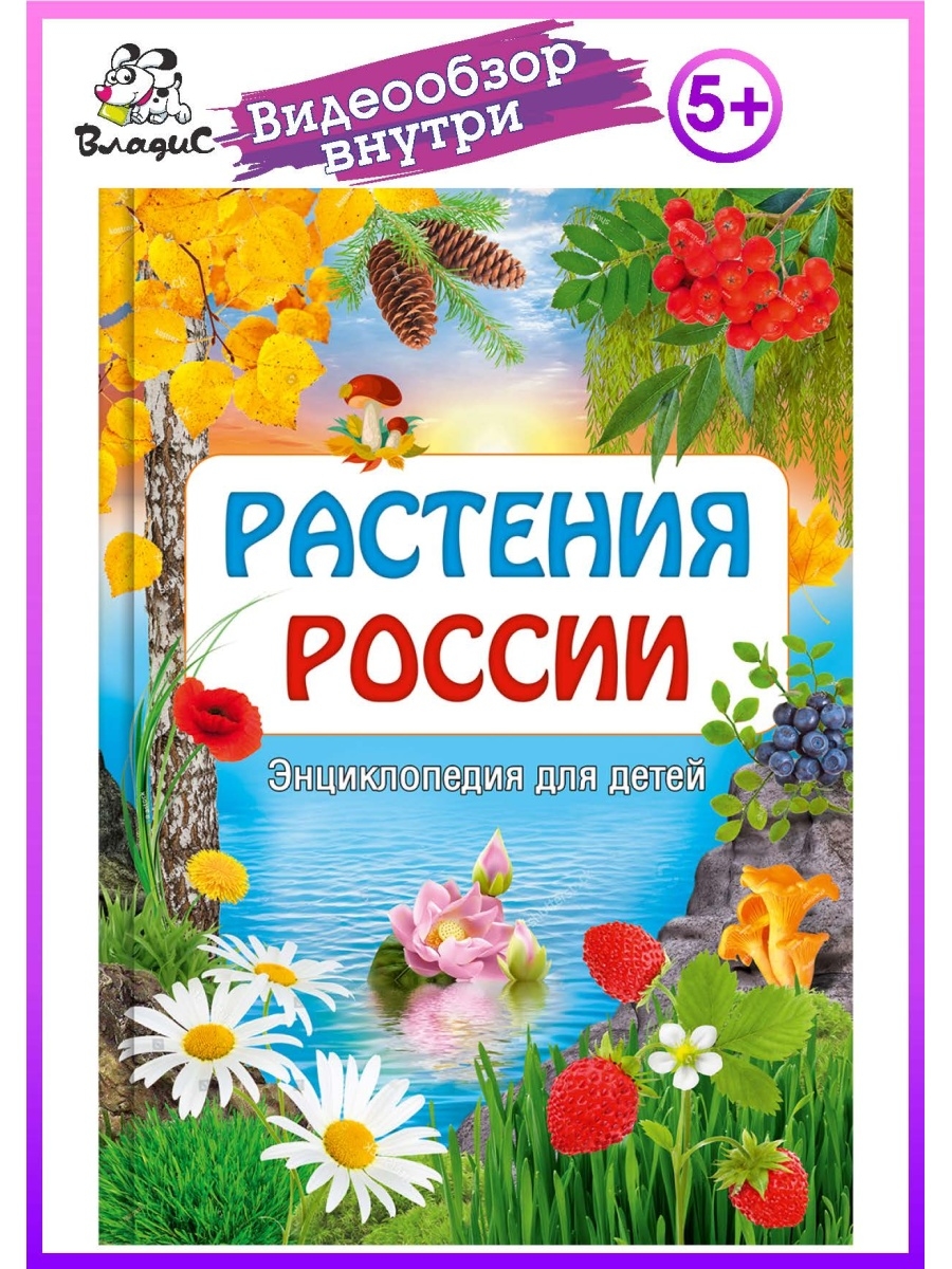 Растения России. Энциклопедия для детей. Книги для детей Владис 13227520  купить в интернет-магазине Wildberries