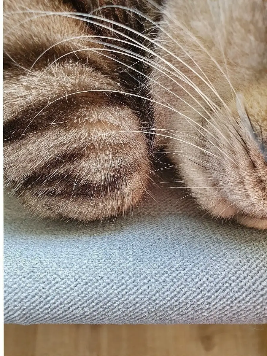 Любви к котикам пост: Как сделать гамак для кошки (схема) | Каневской репортер | Дзен