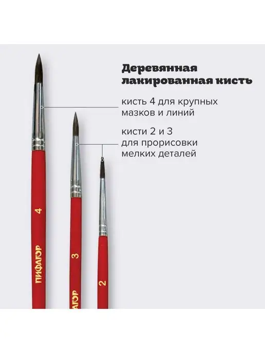 Пифагор Школьные кисти, набор 3 штуки, пони, вариант, фото 3