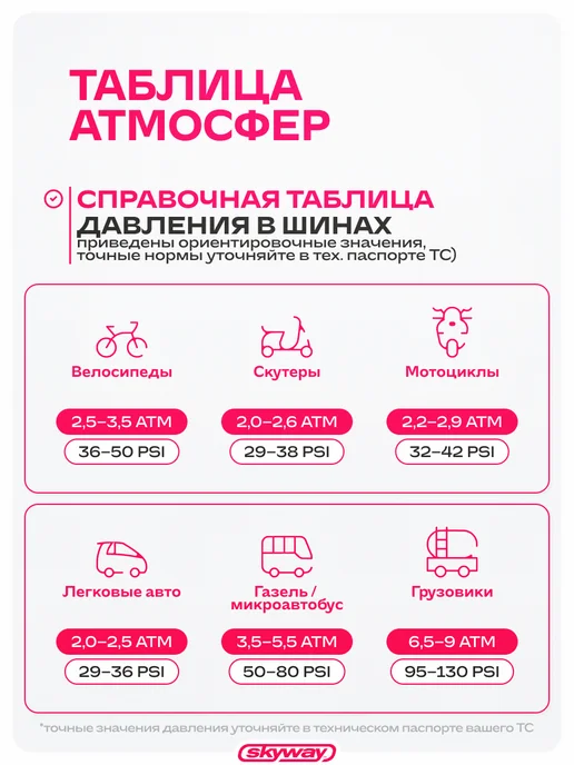 SKYWAY Манометр для шин 4 АТМ, черный, фото 6