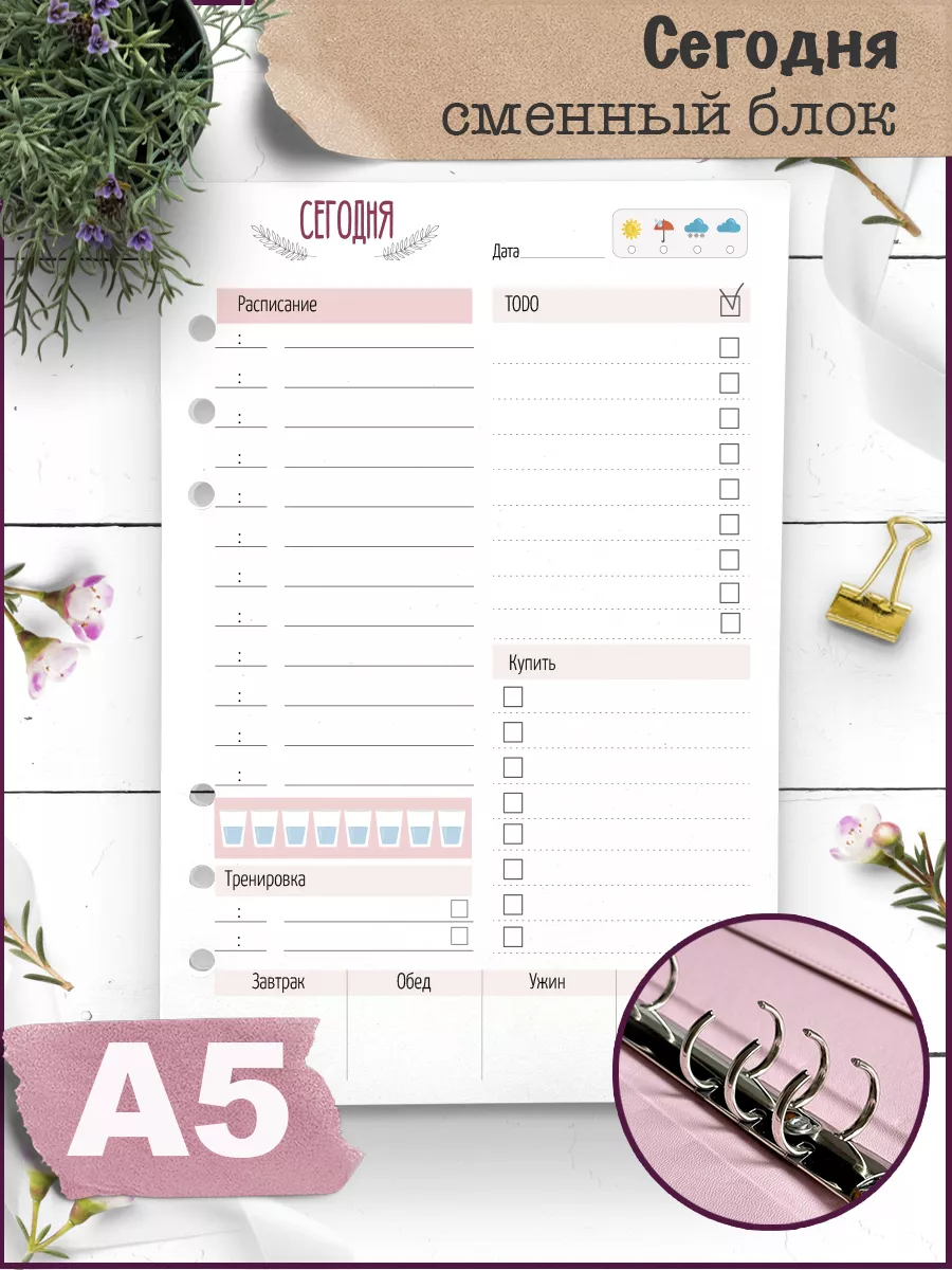 Сменный блок для тетради на кольцах Сегодня цветной А5 на 6к Fancy Planner  13287980 купить за 304 ₽ в интернет-магазине Wildberries