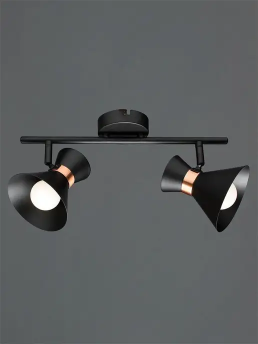 Arte Lamp Спот BALTIMORE A1406AP-2BK, черный, фото 4