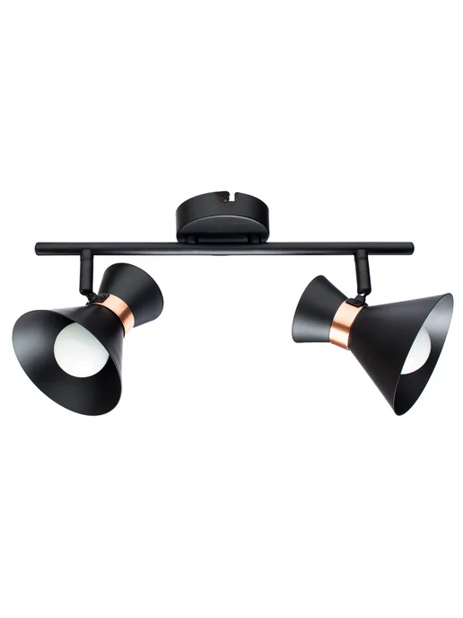 Arte Lamp Спот BALTIMORE A1406AP-2BK, черный, фото 7