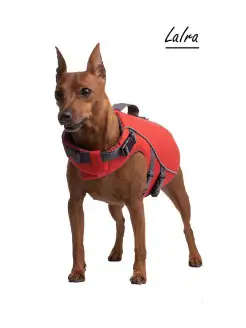 Плавательный жилет для собак ШТОРМ LaIra 13310460 купить за 3 172 ₽ в интернет-магазине Wildberries
