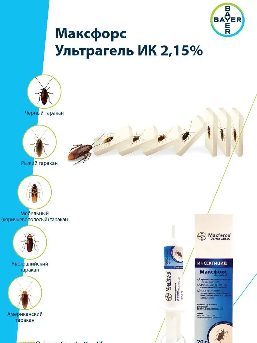 Максфорс (Maxforce) гель от тараканов, 20 г Bayer / Байер 13318336 купить  за 826 ₽ в интернет-магазине Wildberries