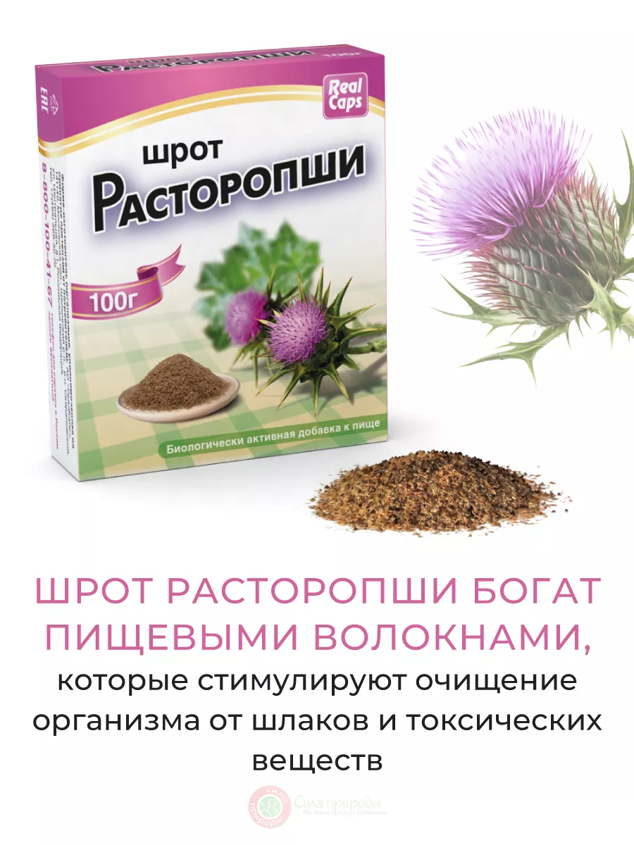 Шрот расторопши порошок 100 г. РеалКапс 13319965 купить за 162 ₽ в  интернет-магазине Wildberries