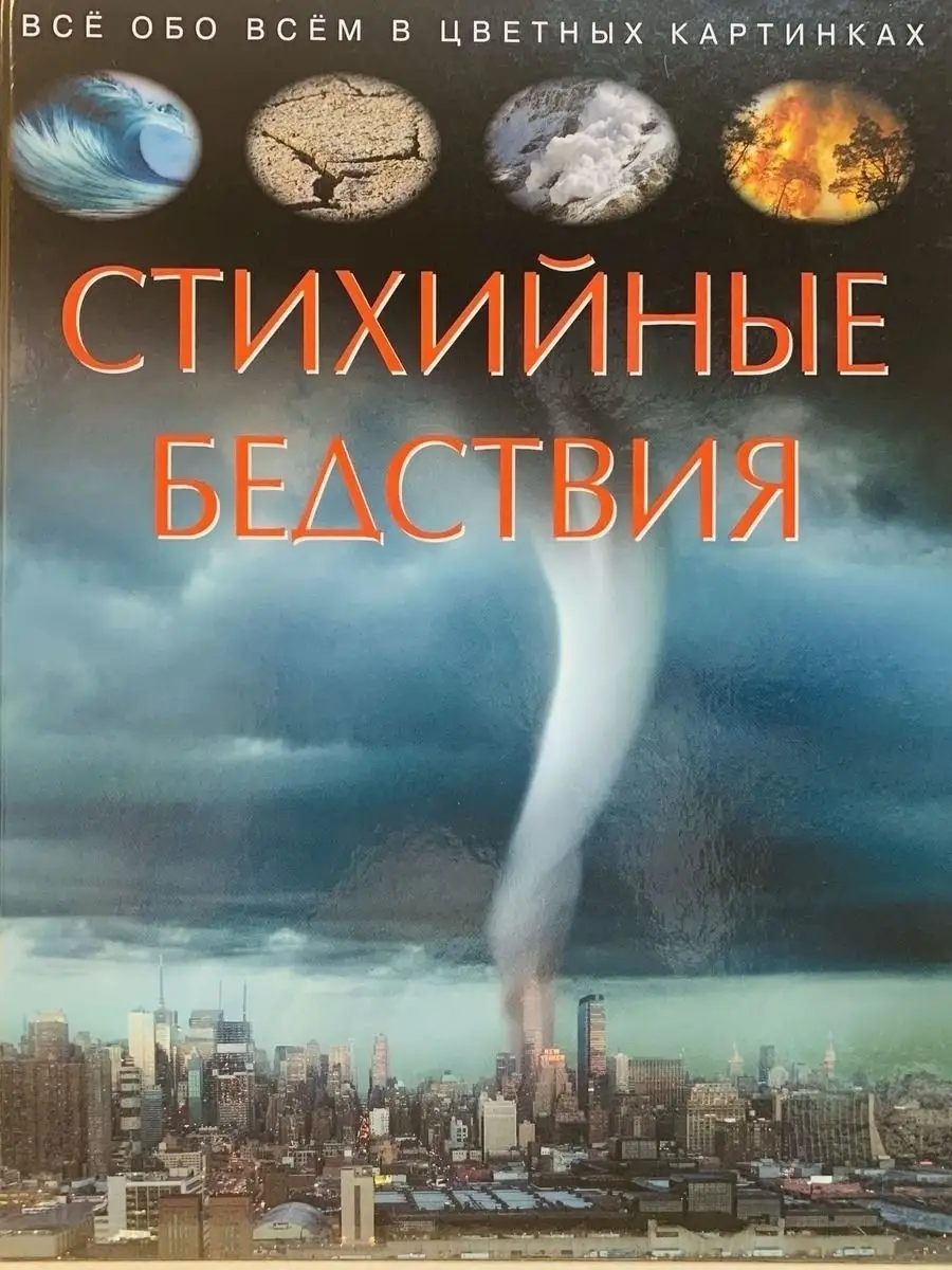 Стихийные бедствия Колос-с 13331761 купить за 186 ₽ в интернет-магазине  Wildberries