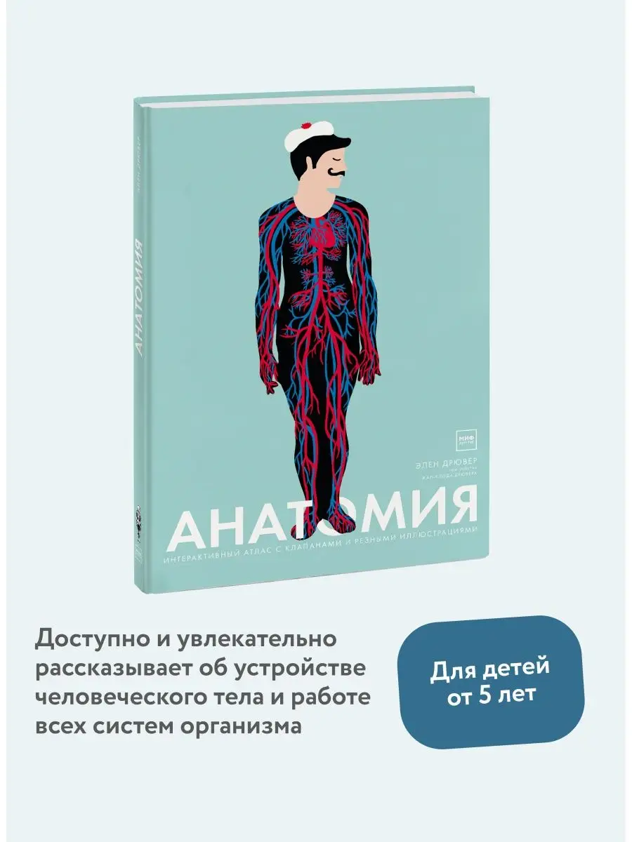 Анатомия Издательство Манн, Иванов и Фербер 13425458 купить в  интернет-магазине Wildberries